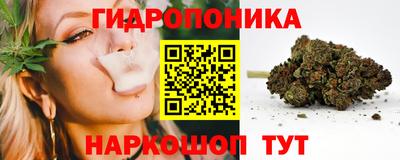 крисы Анапа