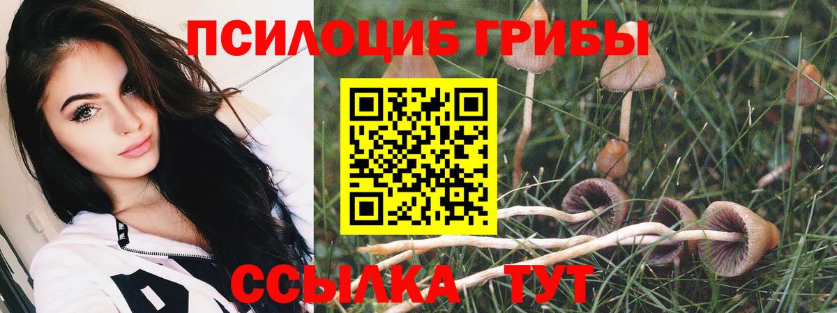Галлюциногенные грибы MAGIC MUSHROOMS  даркнет сайт  Псилоцибиновые грибы MAGIC MUSHROOMS  Шали  Вход с VPN 