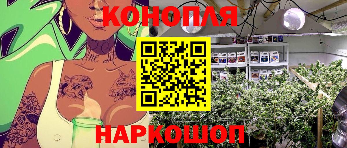 Бошки марихуана тримм Шали